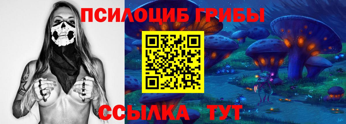 Рузаевка  Псилоцибиновые грибы Cubensis  купить наркотики сайты  Вход с VPN 